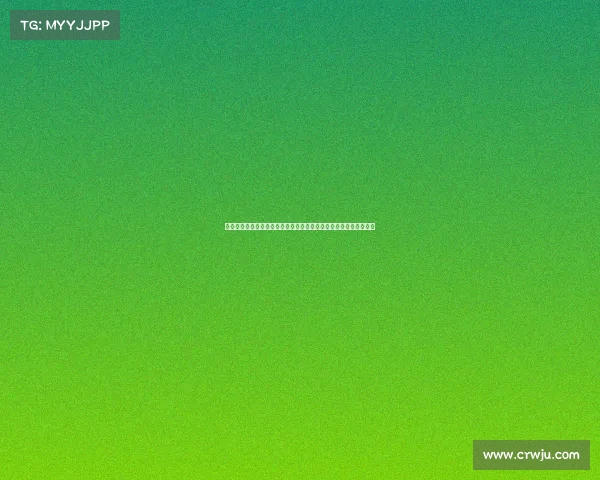 财政公平法案：推动社会资源均衡分配实现全面经济公平的关键举措